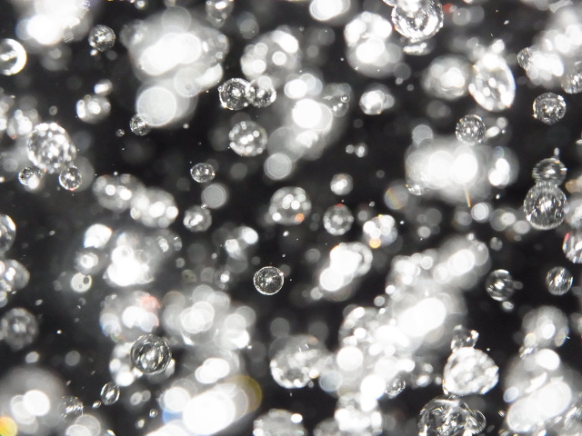 detail 19503 16291112073420 1