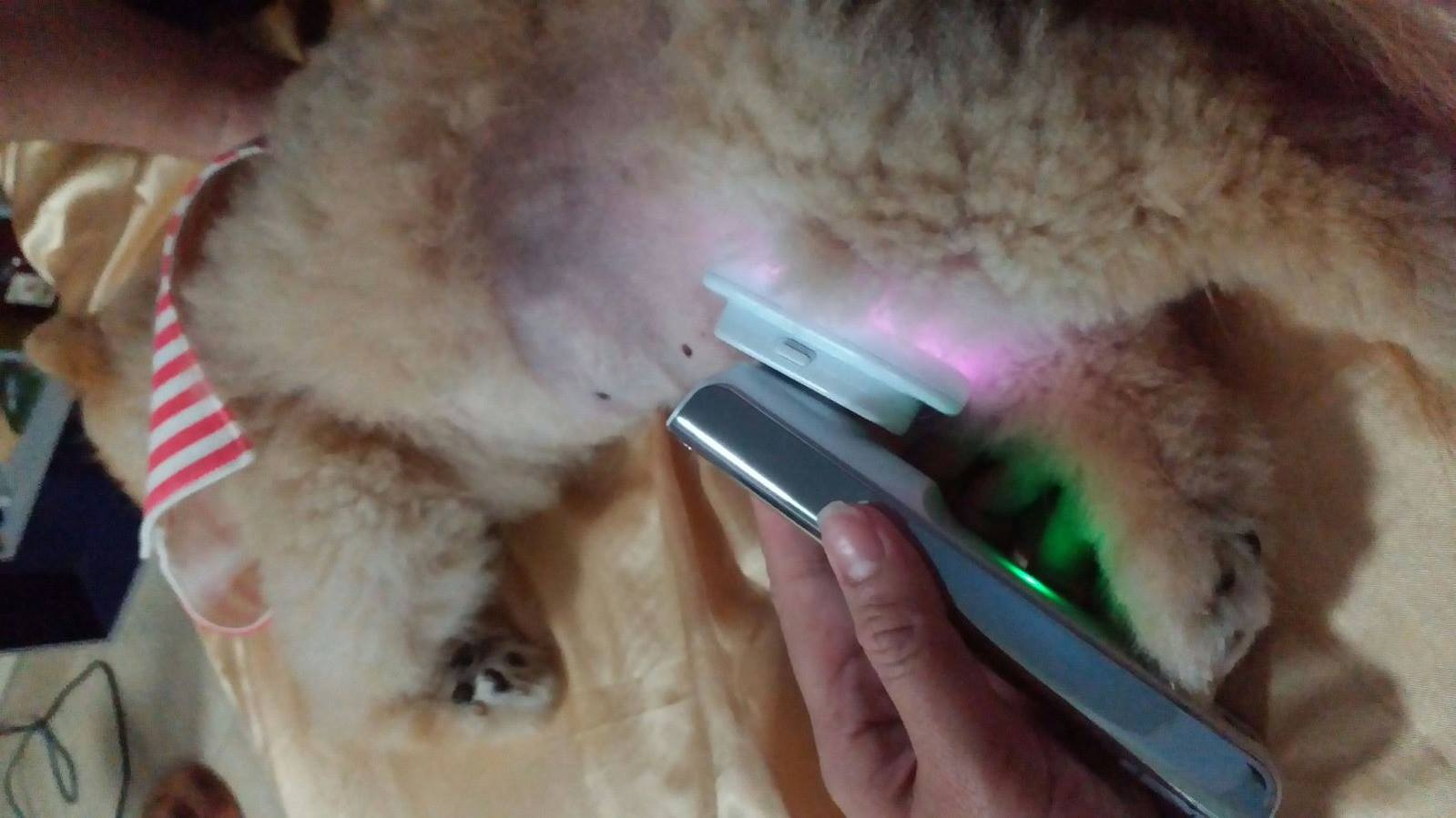 光療 82 29873156 1942008525841117 1404135305900258681 o