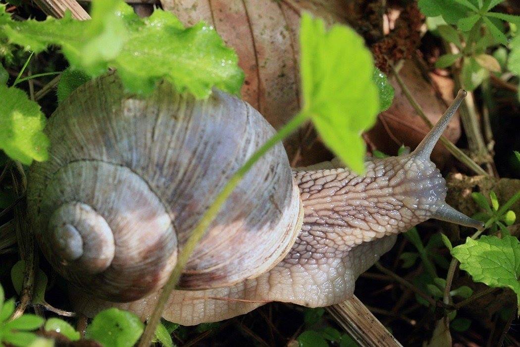 光療 72 30051641 1941676685874301 8047455576752738220 o