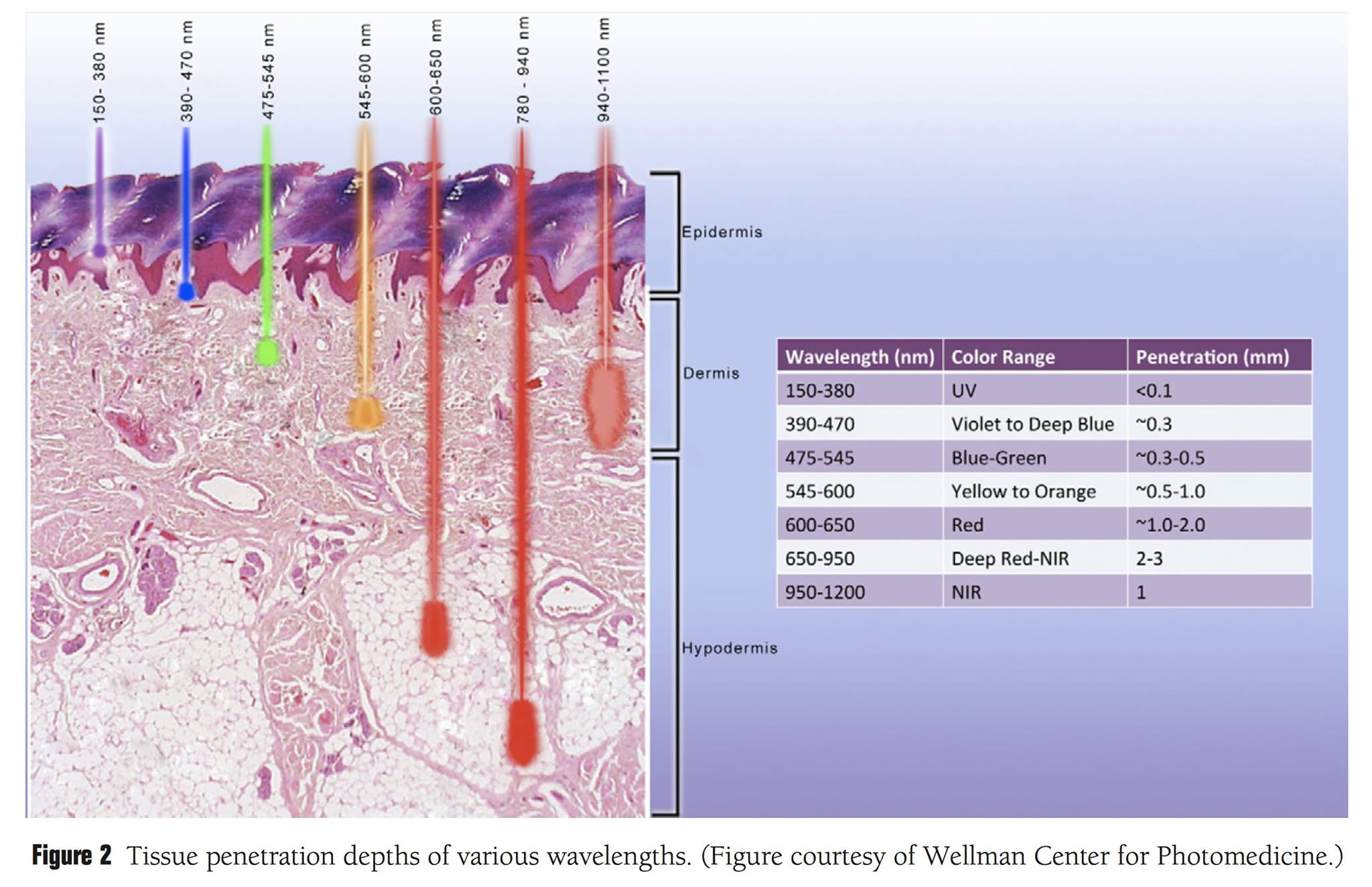 光療 62 30051732 1942155832493053 6422147053951266559 o