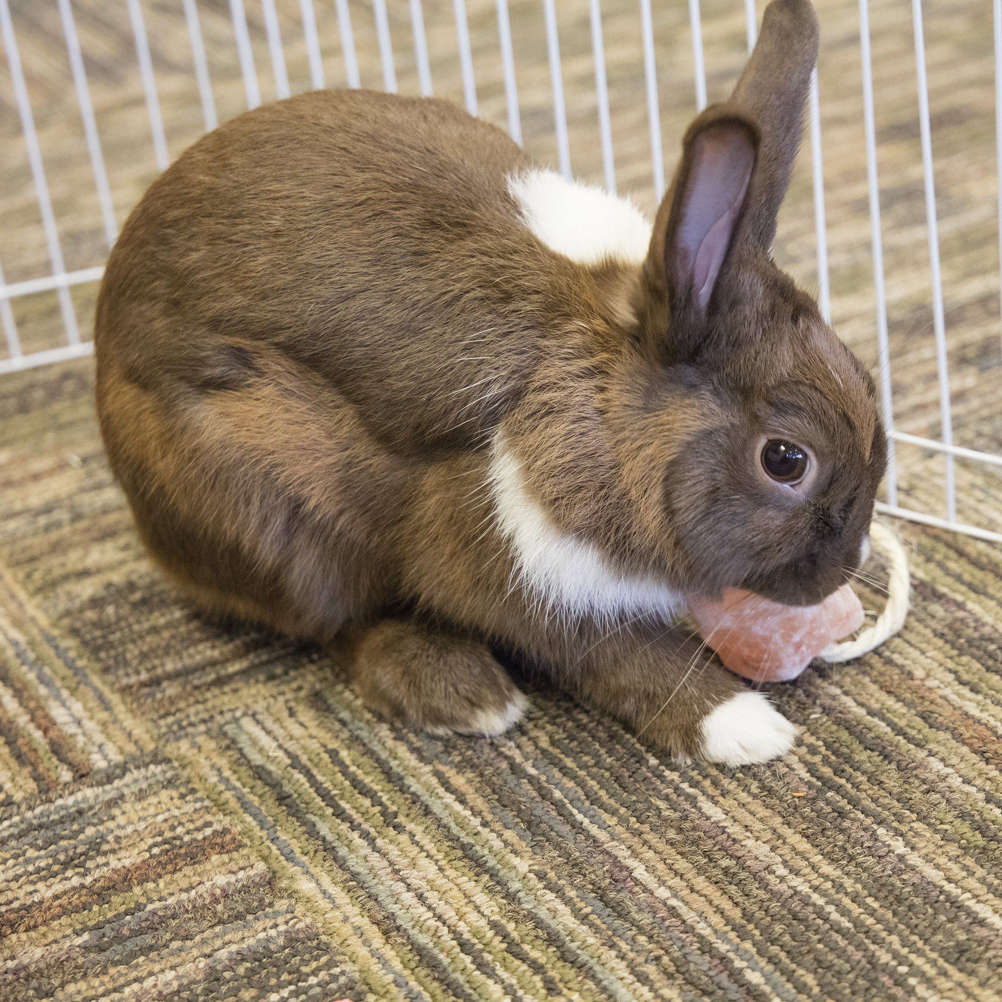 光療 70 30073174 1941671822541454 3620155431127501991 o