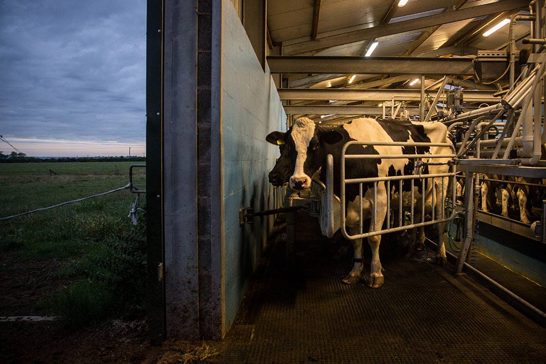 光療 65 30171290 1941913575850612 190461966099408877 o