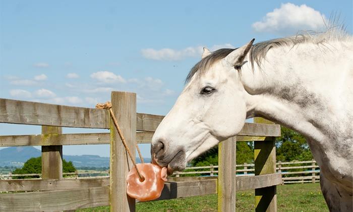 光療 68 30688453 1941661442542492 4841426462388021549 n