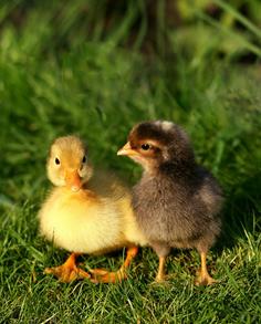 光療 66 30698611 1941921582516478 37085360086650167 n