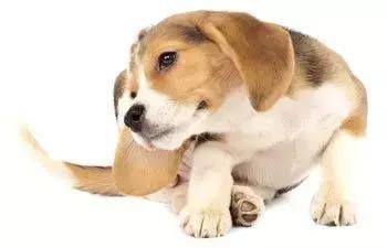 光療 64 30741270 1941641252544511 646699084023884531 n