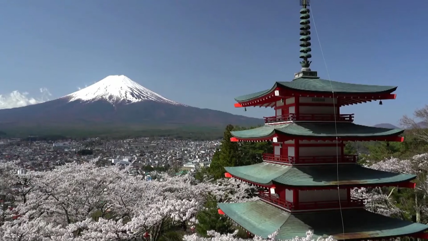 AngelAir 天使微泡花灑 11 Japan V