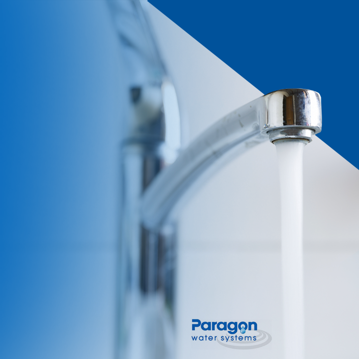 71088943 509221926575949 42579829031174144 n