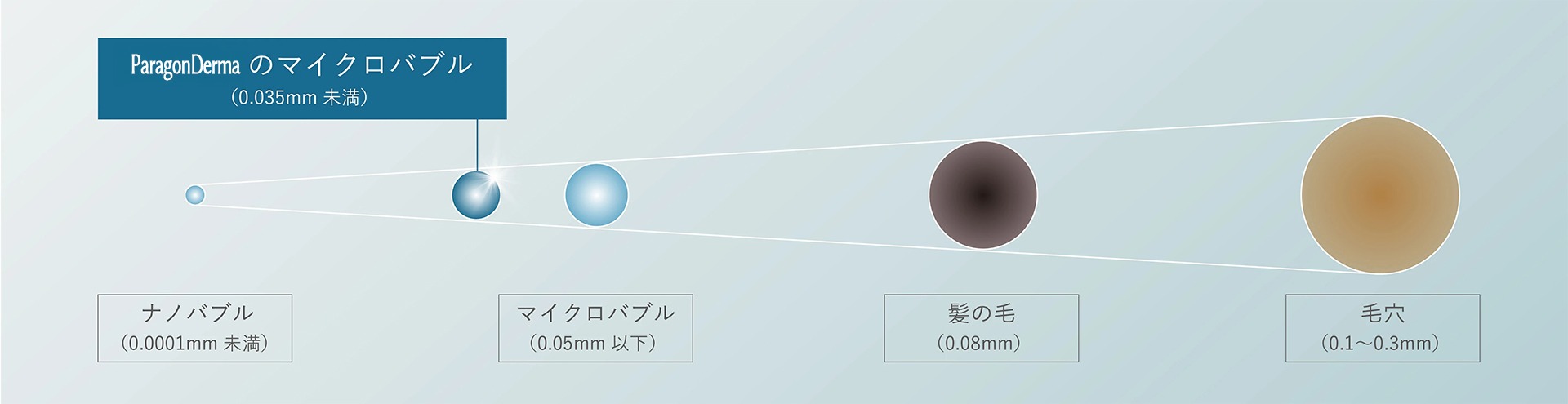 Paragon Derma Microbubble