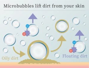 aa aboutpage fuyu1 en